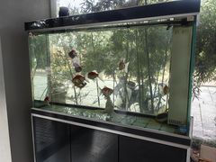 -武夷山旧街壹号溪岸旅馆(三姑度假区店)