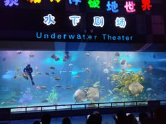 -泉城欧乐堡海洋极地世界