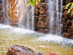 -禅宗少林·音乐大典