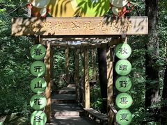 -大岭沟猕猴桃谷风景区