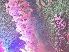 -狼爱上羊音乐火锅