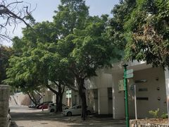 -嘉模泳池