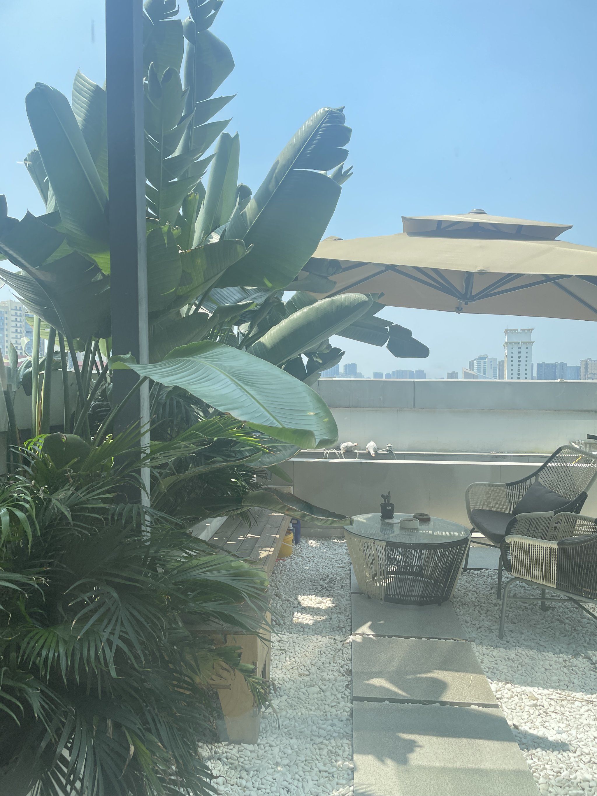 新店环境挺好,服务不错,效果也很好,可以