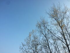 -西湖天地