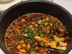 -三猫黑鱼花(南大店)