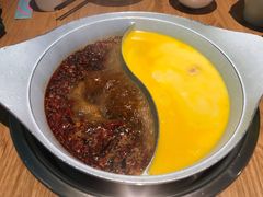 -青瓷火锅料理(西单大悦城店)