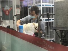-宠物家(大兴旧宫店)