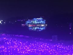 -大塘金香草谷