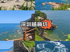 -杨梅坑