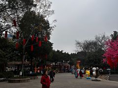 -南湖梦幻岛