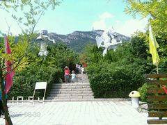 android_upload_pic-龙门崮风景区