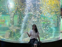 -合肥海洋世界