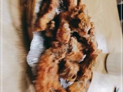 -牧羊餐厅