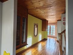 -金山农民画村-枫泾波兰倒置屋