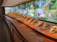 -泉城欧乐堡海洋极地世界