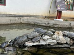 -红螺寺