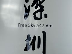 -平安金融中心云际观光层