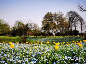 春末的五月，必须出来踏踏青了，再不出来逛一逛