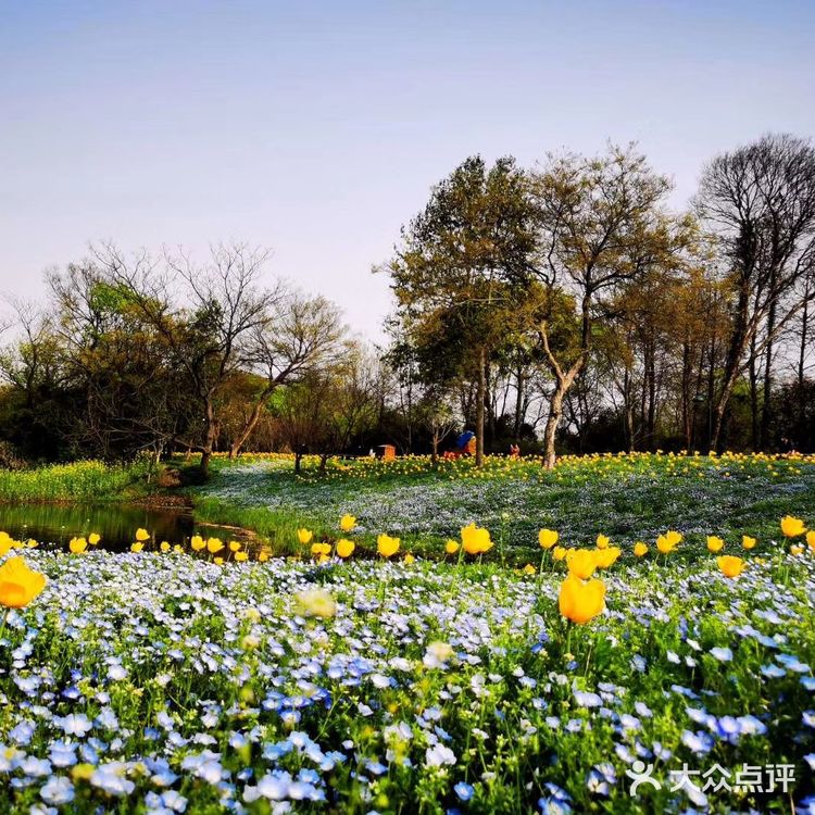 春日怎么能不踏青呢[加油]