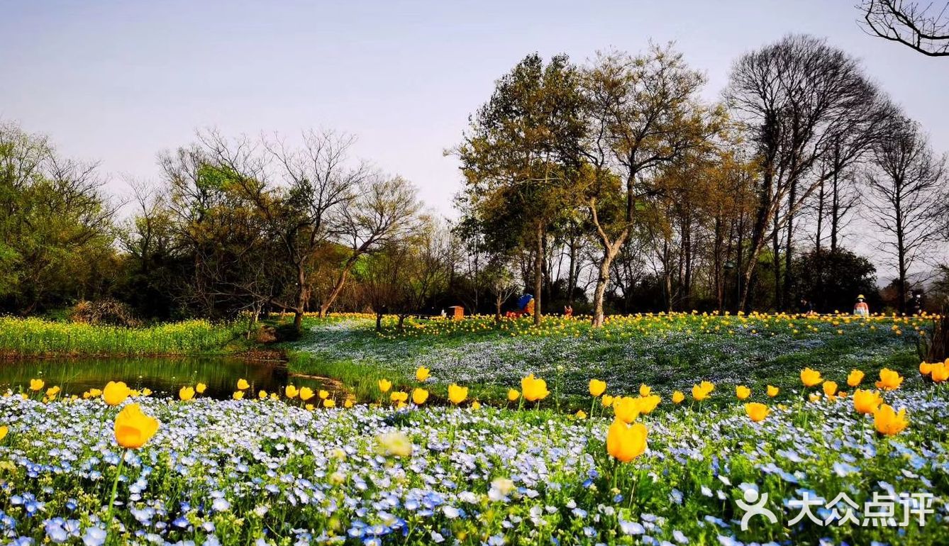春日怎么能不踏青呢[加油]