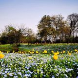 春日怎么能不踏青呢[加油]