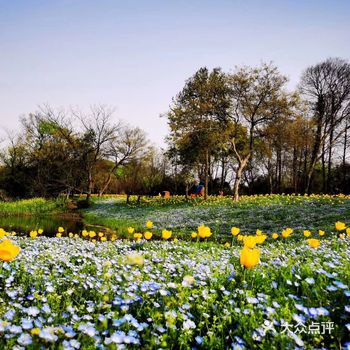 春末的五月，必须出来踏踏青了，再不出来逛一逛