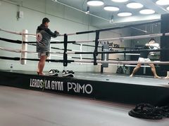 -花环泰拳·勒德斯拉泰拳馆(静安店)