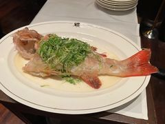 -嘉麟楼