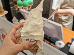 -野人先生Gelato(上海长宁龙之梦店)
