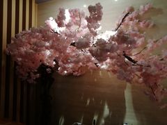 -紫· 割烹  Kappo Murasaki