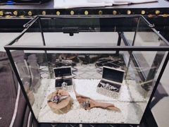 -BOYLONDON(南开大悦城店)