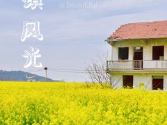 -苏州太湖西山岛开心农场