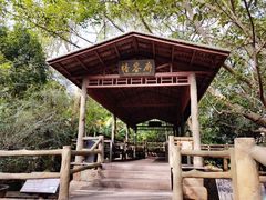 -海口火山口国家地质公园