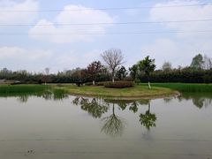 -夏河溪乡野公园