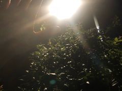 -惠州西湖丰渚园