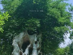 -台州府城(东湖)
