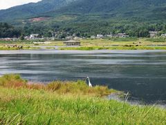 -腾冲北海湿地