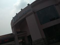 -圣爵菲斯大酒店(长沙世界之窗店)