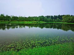-东郊湿地公园