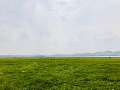-张北坝上草原