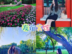 -辽宁友谊宾馆