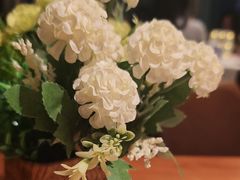 -新贝乐意大利餐厅(苏州中心店)