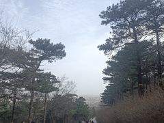 -北京西山国家森林公园