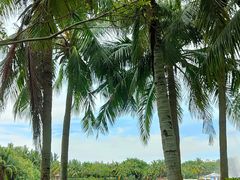 -白沙门生态公园