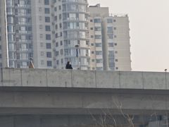 -烤满分·东北烧烤(首经贸店)