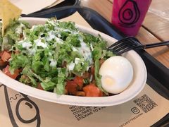 -油梨树 AVOCADO TREE(亮马桥店)