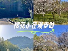 -中国茶叶博物馆(双峰馆区)