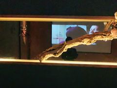 -大桶大足浴(广灵店)