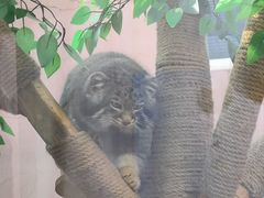 -青藏高原野生动物园