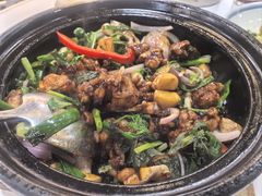 -明本湛江鸡•海鲜小厨(陈家祠店)
